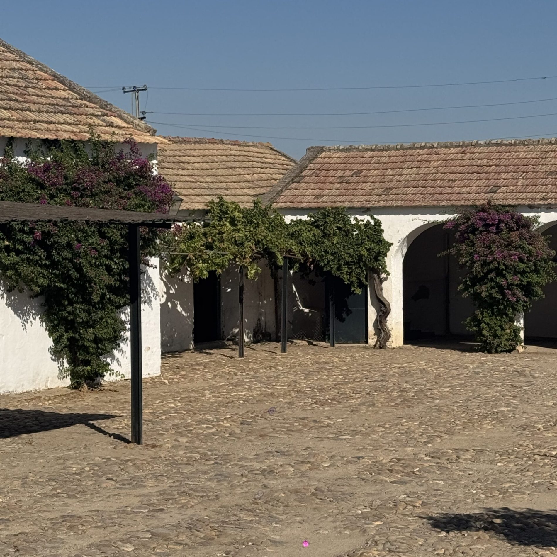 IMG_1481 - Gregorio Garcia-Solans Molina